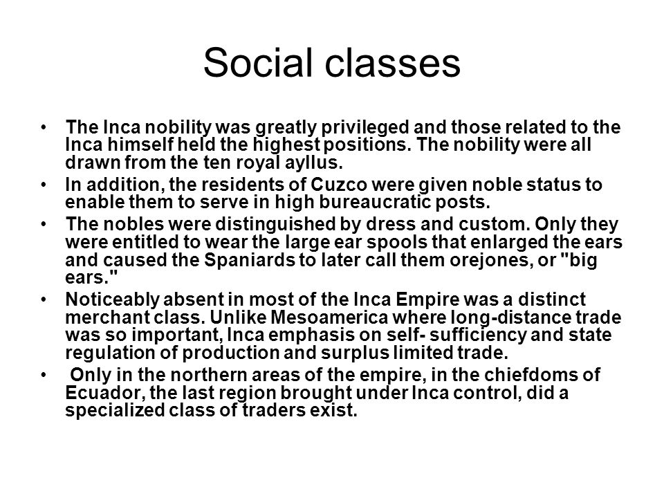 What was the Incas' social structure?